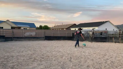 New video on the YouTube.  Teaching Moki to shut down his flight instinct. https://m.youtube.com/watch?v=X00f5kjoOSo&pp=ygUVRW5nYWdlbWVudCBiYWxsIGhvcnNl