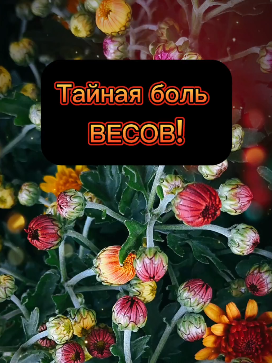 Тайная боль Весов!  #знакизодиака #гороскоп #весы #астрология 