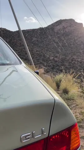 ☹️✋🏻 .. #اكسبلور #fyp #explorepage #كامري #2 #gli 