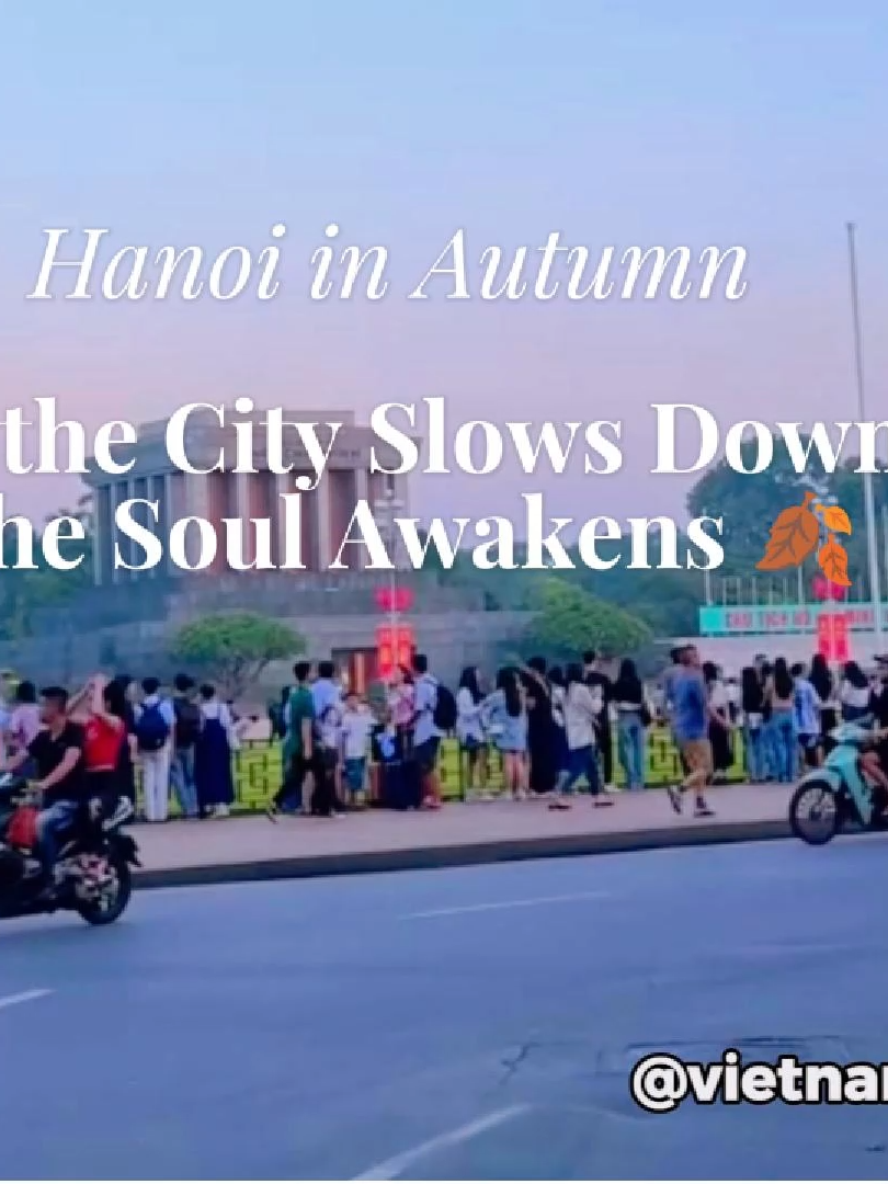 Hanoi in Autumn – Where the City Slows Down and the Soul Awakens 🍂 As golden leaves fall gently on quiet streets, Hanoi enters its most poetic season. The crisp air, soft sunshine, and scent of milk flowers bring a sense of peace. Locals sip hot tea by the lake, lovers walk hand in hand. In autumn, Hanoi breathes slowly—and so does your heart.