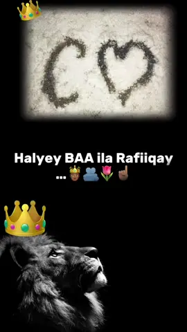 #CapCut haleyey ba Ila rafiiqay💞🌷🙌🏻#CapCut #soomalitiktok #viral #chacelloss😍❤️ @ŇāFyar💫🫧♾️ @faaTimaH🌸🦋🦕 