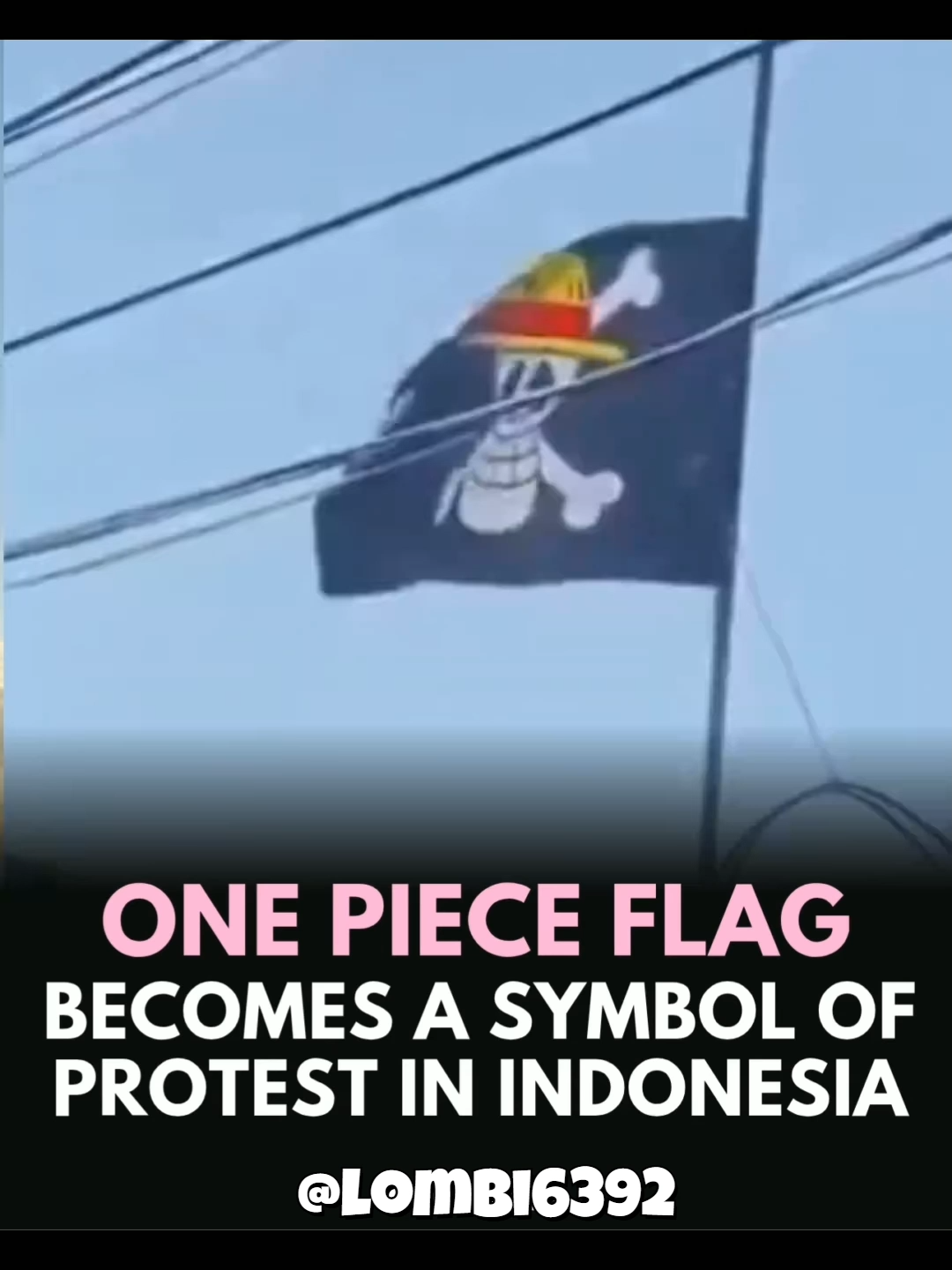 Offical Symbol of Protest 😍 #fyp #tik_tok #fouryou #for #you #page #animefyp #onepiece #onepieceedit #peak #japan #shonen #animation #animefan #monkey #d #luffy #luffyonepiece #onepieceindonesia #protest #symbol #indonesia #jollyroger #strawhatpirates
