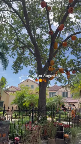 Ok it’s a vibe 🎃 #universalstudios #universalorlando #MomsofTikTok #fypシ 