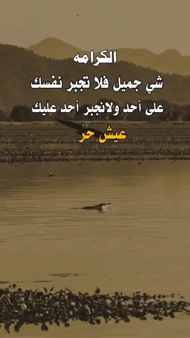 #عبارات #اكسبلورexplore #اكسبلور #agstyle #asmr 