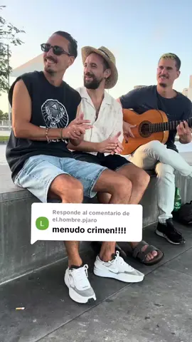 Respuesta a @el.hombre.pjaro nos acusan de cometer crímenes... pues pa la cárcel y sin pagar hipoteca😂 Que os parece esta sevillana?💃 @el hombre pájaro  #flamenco #pedrosanchez #hipoteca #sevillana #parati 