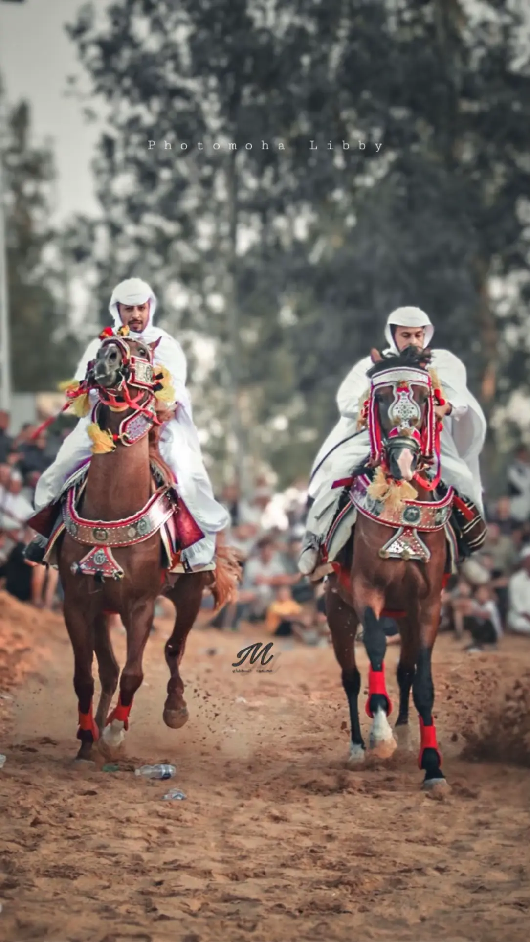 #فرسان #ليبيا #خيل #تريس_ليبيا #خيل_وخياله🐎 #محمود_الغناي📸 #اعادة_النشر🔃 #ماشاءالله #photography #fyp #horses #Horses #horsesoftiktok 