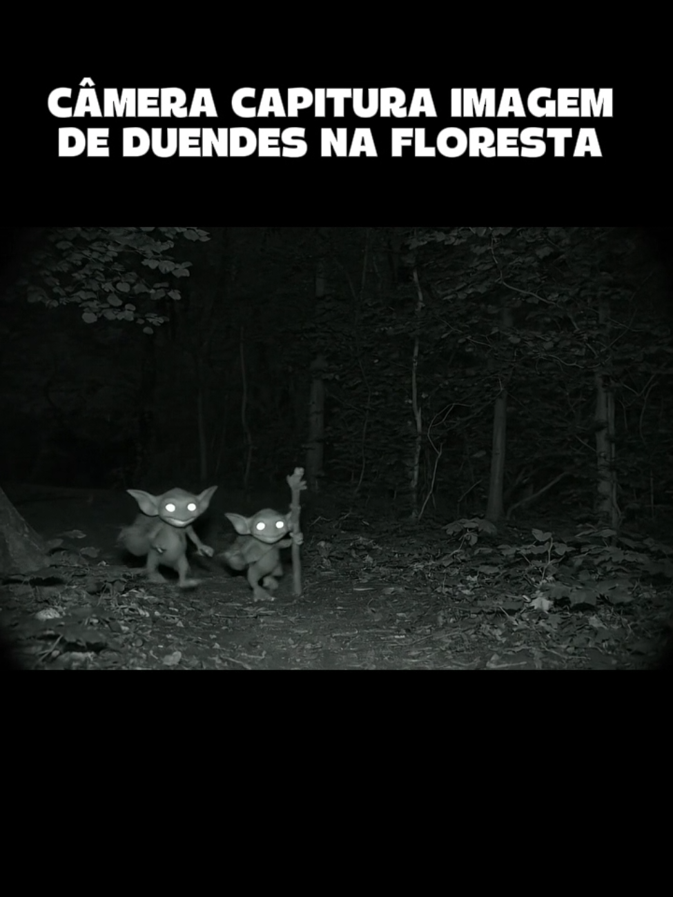 camera flagra dóis duendes na floresta amazônica.#duendes #camera #flagra #amazonica #elves #fyp #fouryourpage #floresta 
