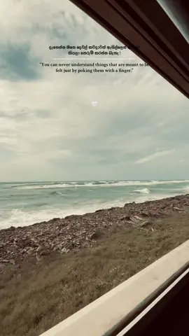 සිදගනාවී 🤍🧚 @Mihiran #mihiran #whatsepstetus #wadan_tik_tok #statuswadan #whatsepstetus #hawasa #train 