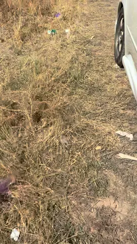 немножко юмора 😄
