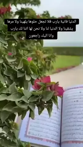 #قران_كريم #قران #القارئ #علي_نمير #مناظر #اكسبلور #متابعه #يارب #لايك#يا_الله  #اشهد_ان_لا_اله_الا_الله 