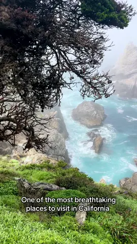 If you haven’t had the chance to spend a day at Point Lobos this is your sign to do it! Such a beautiful place to visit. Gorgeous hiking trails. Get there early, parking fills up fast. #fyp #pointlobos #carmelbythesea #california #ocean #Hiking 