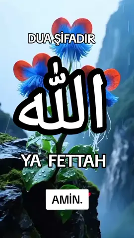 #Amin #kesfet #tıktok #fyp #☝️☝️ 