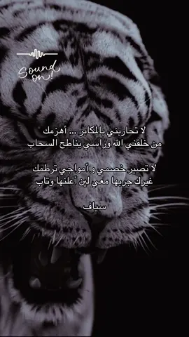 لا تحاربني بالمكابر اهزمك#شعر_والقاء_الشاعر_المتميز_سياف #قصايد #اكسبلور #fyp 