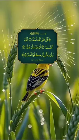 #islamic_video #ইসলামিক_ভিডিও #ইসলামিক_ভিডিও_গুলো_শেয় #ইসলামিক_ভিডিও_গুলো_শেয়ার_করুন_📿🕋 