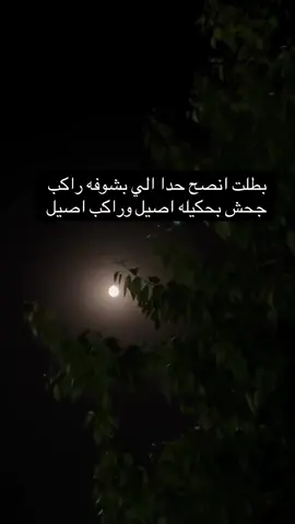 #قتباسات بطلت انصح حدا الي بشوفه راكب جحش بحكيله اصيل وراكب اصيل