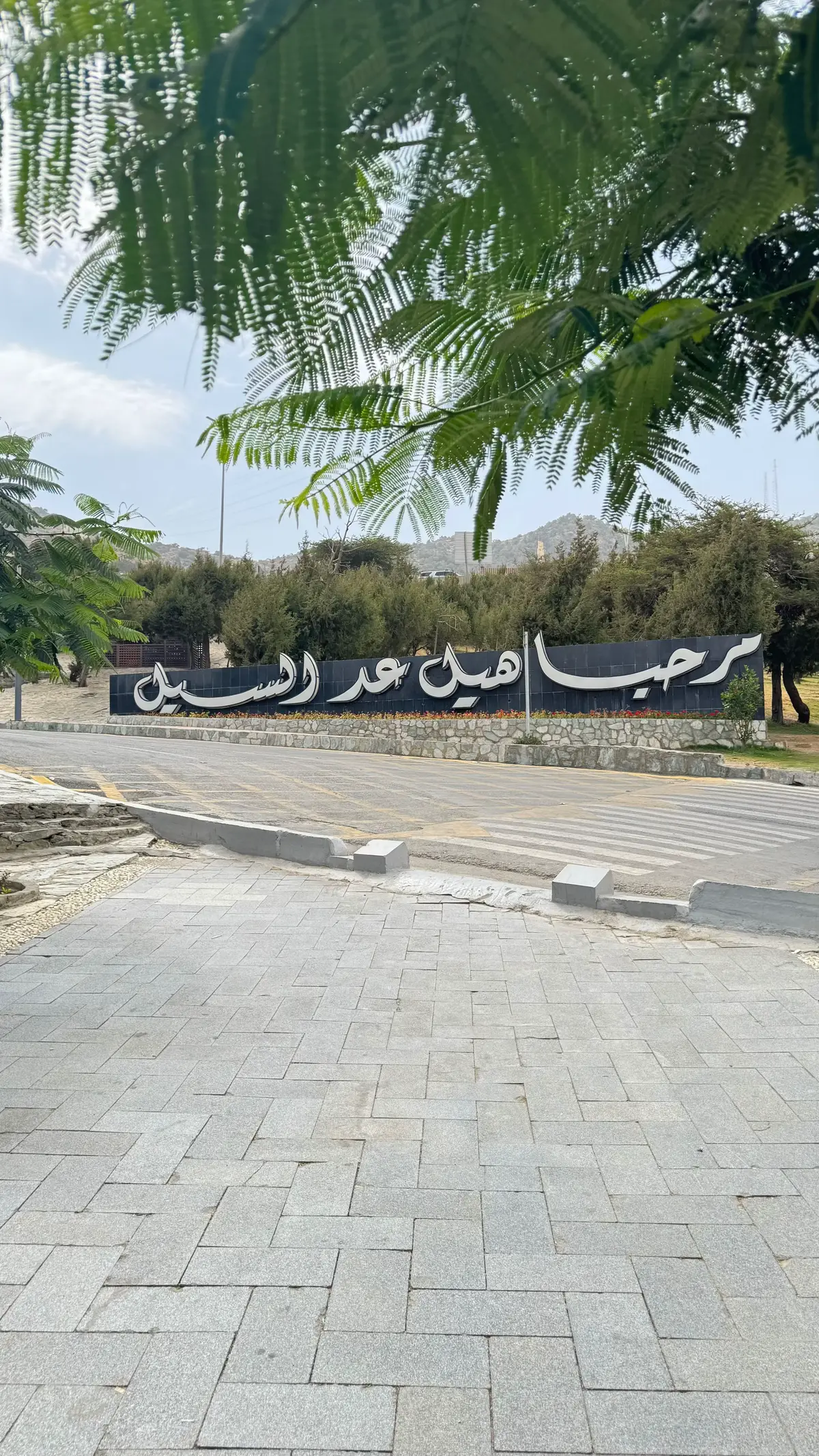 #اكسبلور #الباحة #عشوائيات #رغدان #fyp 