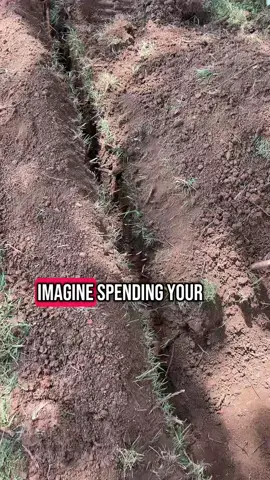 #mmlandscapinglawncare #fyp #lawnmaintenance #landscaping #lawntok #lawncare #havingfunatwork #tool #creatorsearchinsights #backtoschool #dealsforyoudays #tiktokshopdealsforyoudays #SuperBrandDay #tiktokbacktoschool 