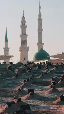بێ سێبەری خاریج لە ئیمكانە مەگەر ئەو سێبەرانەی خەزنەمەند كردووە بۆ حەشر چ دڵسۆزە كە لەو گەرمایەشا، سایەی لەسەرمانە                   مەحوی واتا: ناكرێ كەسێك سێبەری نەبێ! مەگەر پێغەمبەر ﷺ سێبەری خۆی بۆ ڕۆژی حەشر ھەڵگرتووە و كۆیدەكاتەوە، تا ئەوكات بۆمان سێبەر بكات، چەندە دڵسۆزە لەوگەرمایەش ھەر بە فكری ئێمەیەو سایەی لەسەرمانە. IG,Tel:tassbiihaat | | | | | | | | | | | | | | | | | | | | | | | | | | | | | | | | | | | #تەسەوف #شێخ #شەهرام_مەنسووری #شەهرام_مەنصوری #زەڕایەن #نقشبندی #نەقشبەندی #سۆفی #ولیانی #هەورامان_خورمال_تەوێڵە #سلێمانی_هەولێر_کەرکوک #بیارە_تەوێڵە_خورماڵ_هەڵەبجە_🌹 #بیارە #zarayan #هەڵەبجەکەم #ئەکتیڤبن🥀🖤ـہہـ٨ــہ #fyppppppppppppppppppppppp #پێغەمبەر_صل_لله_علیه_وسلم #سەڵاوات_لەبیر_مەکەن #explore 