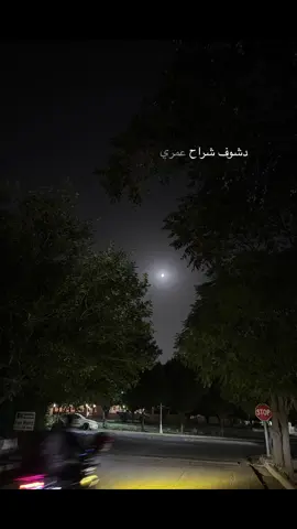 #ضَياع #اكسبلورexplore #fyp #foryou 
