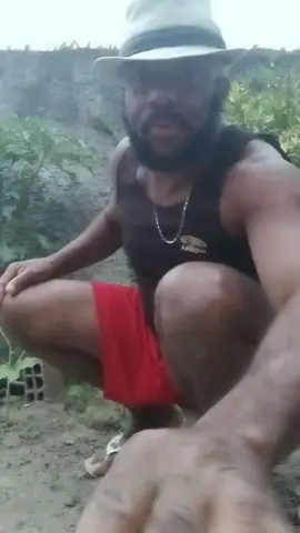 #vilarizartiktok #ver o meu vídeo #vem com  migo tiktok brasileiro 