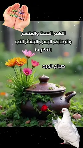 #صباحكم_معطر_بذكر_الله💚🌹🌿🌷😍🌸🙏 #صباحكم_أحلى_صباح🌹🌹 #🤲🤲🕋🕋🤲🤲 
