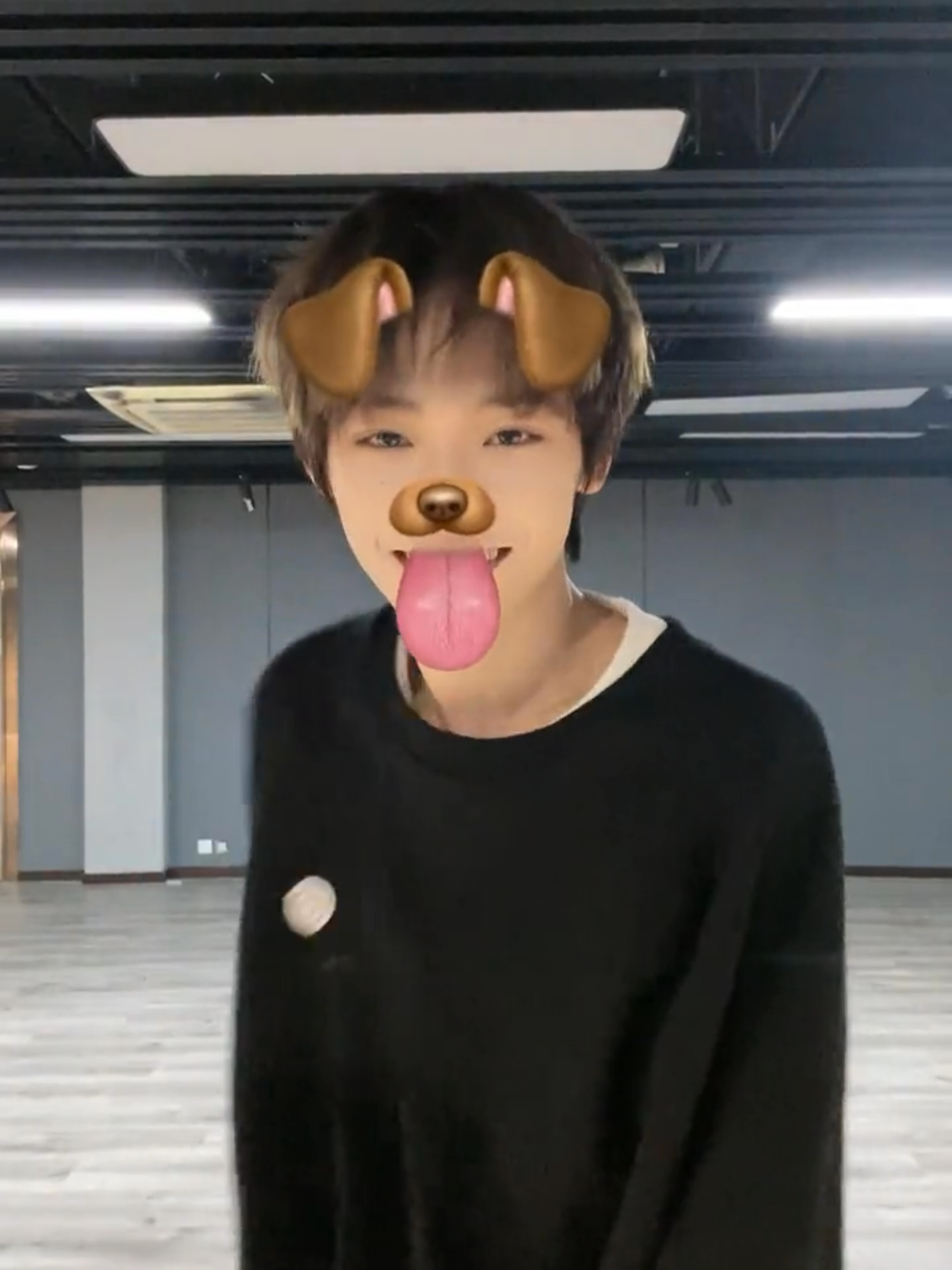 #黑马计划 #魔性律动舞 来了来了来了🐶