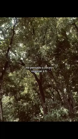 ⭐️                                                              #fyp #paratii #salsa #amormarcado #Viral 