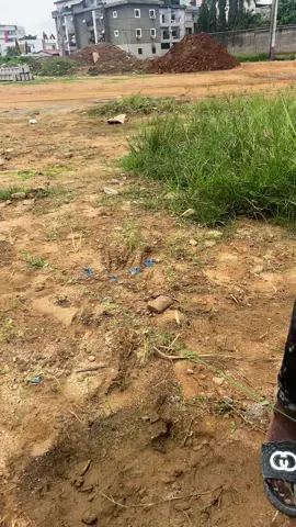 Voici les coulisses de la conception et de la réalisation d’un espace unique, écolo et stylé, fabriqué avec du bambou local ! Design naturel 🌾 | Structure solide 💪🏾 | Ambiance chaleureuse 🔥 Un projet alliant tradition et innovation… parfait pour les petits espaces, les terrasses ou les coins chill ! 🔨 Regarde jusqu’à la fin pour voir le résultat final 👇 💬 Dis-nous ce que tu en penses en commentaire ! #MiniRestaurant #BambouDesign #ArchitectureÉcolo #ArtisanatAfricain #EspaceChill #BambooProject #MadeInAfrica #RestaurantNature #TikTokCIV #ConstructionCréative