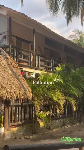 Regardez moi ce havre de paix ! Parfait pour se reposer et faire du surf 🏄‍♀️  Mírame este remanso de paz! Perfecto para descansar y surfear 🏄‍♀️ Las Marias by croma à Palomino #palimino #chill #lugaresparavisitar #surf #colombia 