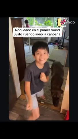 #dog #dogsoftiktok #funnyvideos #videogracioso😂 #comediayhumor😂😂 #video #humor #comedy #viralvideo🔥 #videogracioso #videogracioso #funnyanimals 