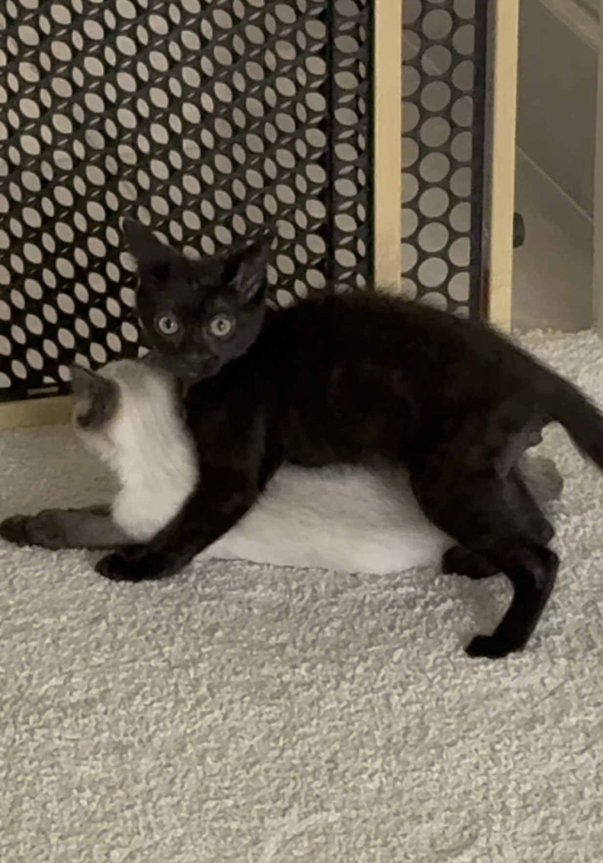 I’m a mom!