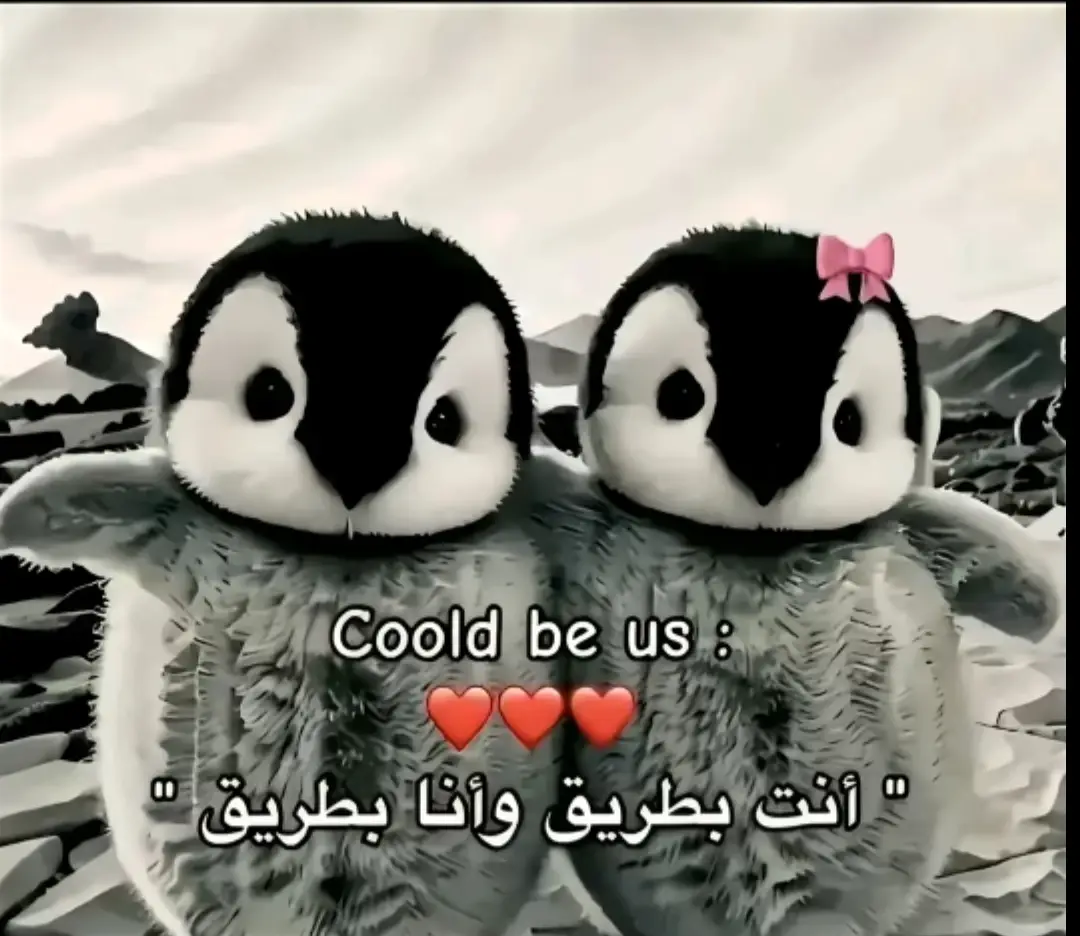@ددوقي🇮🇶  المشارك الترند 🤣🗿.