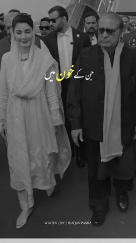 جن کے خون میں بادشاہت ہوتی ہے ان لوگوں کو ریاستوں کی ضرورت نہیں پڑتی #pmln #pmlntigers #foryou #viral #pmlnzindabad #trending #mariyamnawaz @Zeeshan Malik @Maryam Nawaz Sharif 