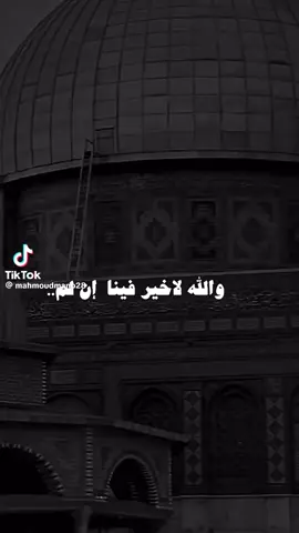 اللهم أنا نستودعك فلسطين واهلها 