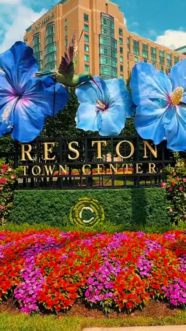 📍 Reston Town Center – Where modern living meets small-town charm 🌸✨ From shopping and dining to fountains and festivals, this walkable hub in Reston, VA is one of Northern Virginia’s hidden gems. Would you want to live near here? #restontowncenter #restonva #northernvirginia #dmvrealestate #walkablesuburbs #virginialiving #novaexplorer #realestateagent #restonliving #dmvhomes 