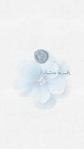 #رزقت_ابنتي_بمولود #بدون_اسم #اقبل_حفيدي #رزق_اخي_بمولود 