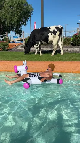 Trying to go to the water park with Bruce!!! #cow #brucethecow #farm #animals 