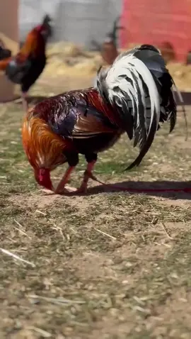 😌