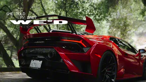 Lamborghini STO 🔄 Lamborghini SVJ | 😈🥵😩 | his eyes were like mine | #lamborghini #trending #caredit #cartiktok #4upageシ 