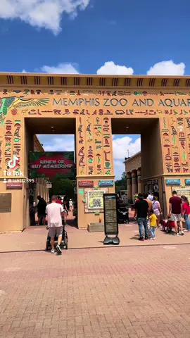 See SOME of the Memphis zoo with us 🫶🏻 