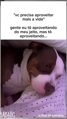 bem assim memes de sábado  #rir #humortiktok #vida 