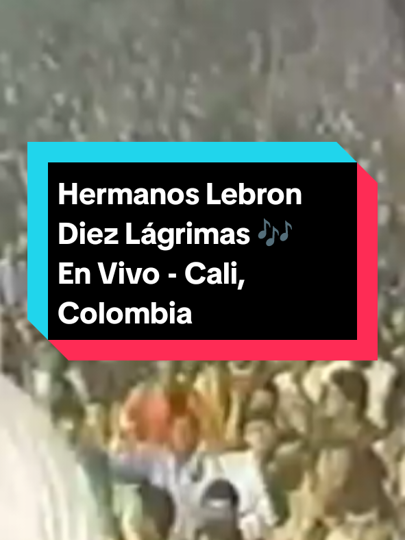 Hermanos Lebron  Diez Lágrimas 🎶  En Vivo - Cali, Colombia 🇨🇴 #hermanoslebron #diezlagrimas #musicasalsa #salsabrava #salseros #Salsa #salserosdecorazon 