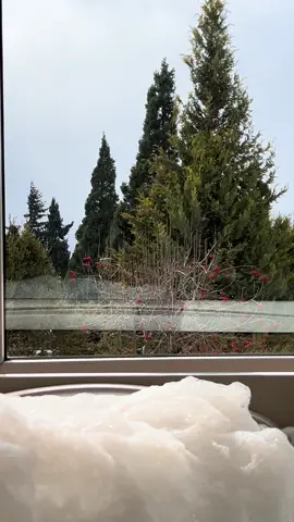 Vivo en una peli 