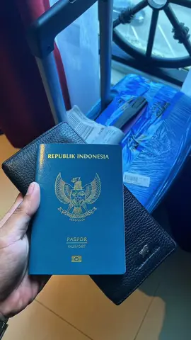 So plesure and see you 👋🏻 🇸🇬 #fyp #🇸🇬 #merlionpark #changiairport #singapore 