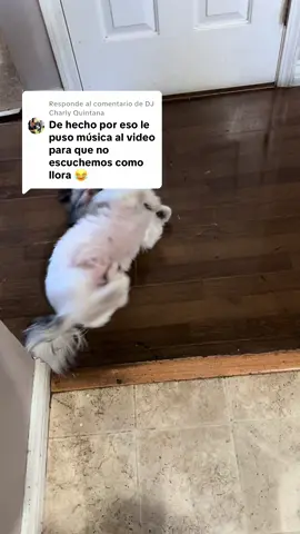 Respuesta a @DJ Charly Quintana  la gente cuando no tiene nada bueno que escribir ☠️ es una perrita feliz 