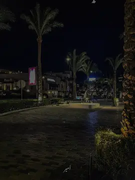 يا روح الروح ❤️😂 . . . . #fypシ゚ #fyp #explore #foryou #foryoupage #capcut #CapCut #قوالب_كاب_كات #tiktokindia #🖤✨ #trending #اكسبلور #🤍 #موسيقى🎶 #❤️‍🔥 #😔 #💔 #تصميمي❤️ #🤍🤍 #🖤🖤 #وائل_جسار #wael_gassar #🤍 #fyppppppppppppppppppppppp 