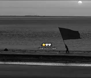 جزء 98| كّـلَـهـْا زآرْتً واّنًـة بُـقّيـتَ 😞🤍. #fypシ゚  #مشايه_الأربعين #مشاية_الامام_الحسين  #الامام_الحسين_عليه_السلام #fypシ゚  #الامام_العباس_عليه_السلام #fypシ゚  #اللهم_صلي_على_محمد_وال_محمد  #اكسبلورexplore #new_totiktok 