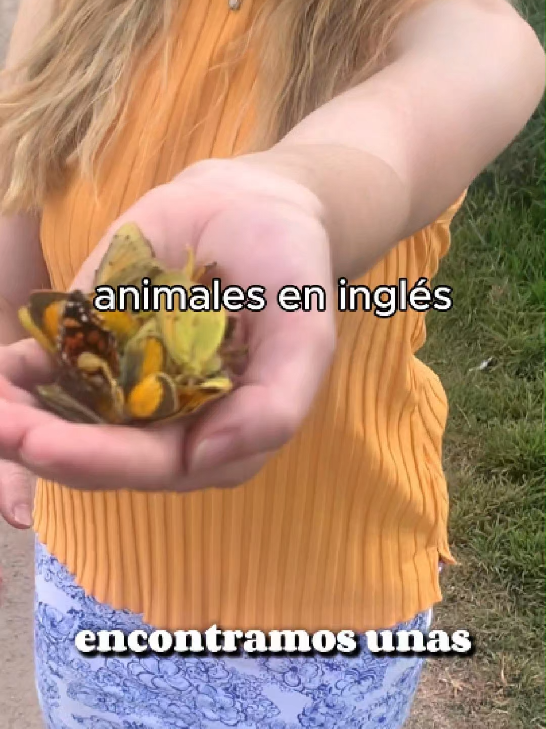 Conoces los nombres para animales en inglés? Mariposas = Butterflies Vacas = Cows Perros = Dogs Ovejas = Sheep y el pato de verdad es duck pero no recuerdo el nombre de este goose en español de verdad.. q feo no? #aprenderingles #fyp #english #paratii #languages #idiomas #peru🇵🇪 #cusco #pronunciacióninglés #ingles #animales