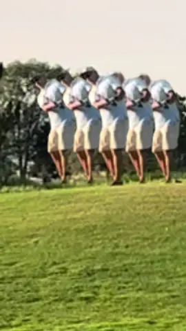 The chip off! #golftiktok #golf #fore #forefathers 