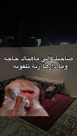 #صالح_القبائلي #اجدابيا #fyp #ليبيا_طرابلس_مصراتة_بنغازي_اجدابيا #ليبيا_درنه_بنغازي_اجدابيا❤️ #شارع_اطرابلس_اجدابيا #اجدابيا_احدابيا_الزويتينية 